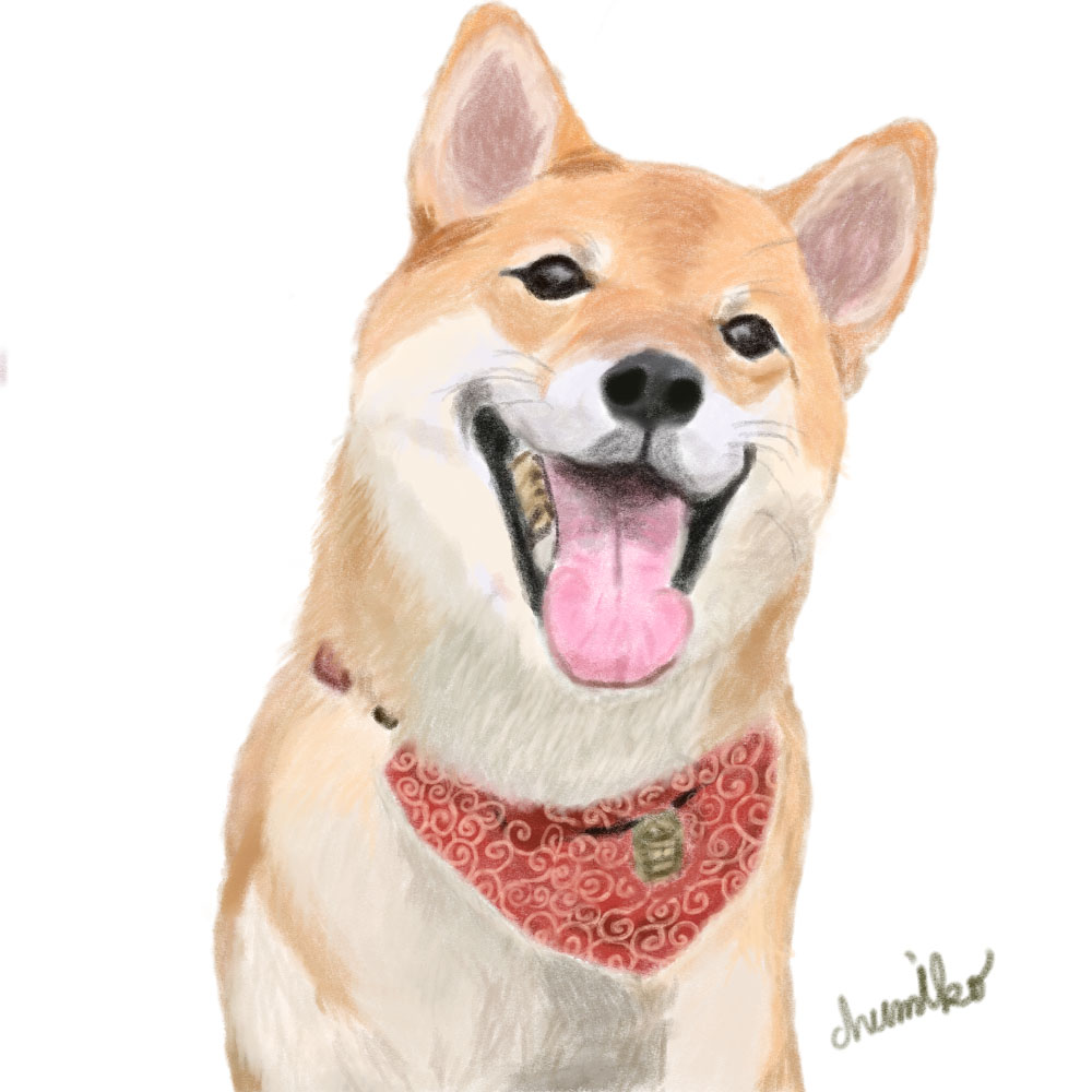 柴犬のイラスト
犬のイラスト
Photoshopで作成