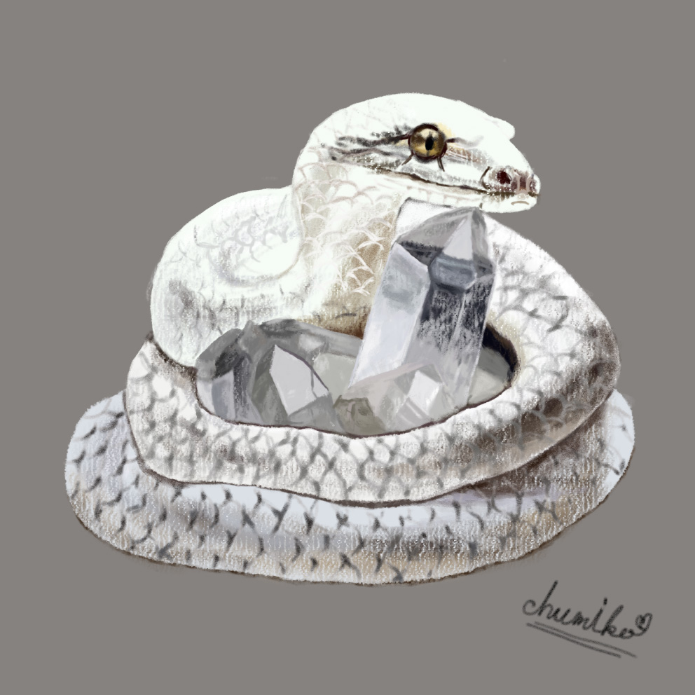 へびのイラスト
Photoshopで作成